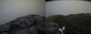 ./images/calvert/buxton2/20160710/buxton220160710_171952M.jpg