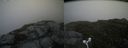 ./images/calvert/buxton2/20160710/buxton220160710_184030M.jpg