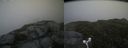 ./images/calvert/buxton2/20160710/buxton220160710_185516M.jpg