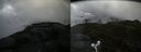 ./images/calvert/buxton2/20160712/buxton220160712_115454M.jpg