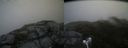 ./images/calvert/buxton2/20160712/buxton220160712_132536M.jpg