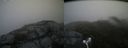./images/calvert/buxton2/20160712/buxton220160712_132941M.jpg
