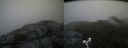 ./images/calvert/buxton2/20160712/buxton220160712_135001M.jpg