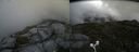 ./images/calvert/buxton2/20160713/buxton220160713_095026M.jpg