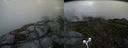./images/calvert/buxton2/20160713/buxton220160713_095931M.jpg