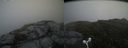 ./images/calvert/buxton2/20160713/buxton220160713_112926M.jpg
