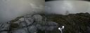 ./images/calvert/buxton2/20160713/buxton220160713_114926M.jpg