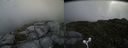 ./images/calvert/buxton2/20160713/buxton220160713_115456M.jpg