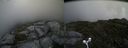 ./images/calvert/buxton2/20160713/buxton220160713_121432M.jpg