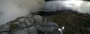 ./images/calvert/buxton2/20160713/buxton220160713_133007M.jpg