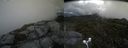 ./images/calvert/buxton2/20160713/buxton220160713_155430M.jpg