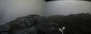 ./images/calvert/buxton2/20160714/buxton220160714_100501M.jpg