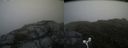 ./images/calvert/buxton2/20160714/buxton220160714_111932M.jpg