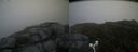 ./images/calvert/buxton2/20160714/buxton220160714_120430M.jpg