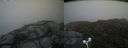 ./images/calvert/buxton2/20160714/buxton220160714_122932M.jpg