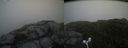 ./images/calvert/buxton2/20160714/buxton220160714_132946M.jpg