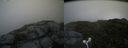 ./images/calvert/buxton2/20160714/buxton220160714_142433M.jpg