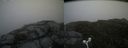 ./images/calvert/buxton2/20160714/buxton220160714_144441M.jpg