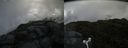 ./images/calvert/buxton2/20160715/buxton220160715_084455M.jpg