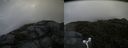 ./images/calvert/buxton2/20160715/buxton220160715_085437M.jpg