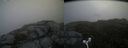 ./images/calvert/buxton2/20160715/buxton220160715_095501M.jpg