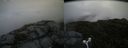 ./images/calvert/buxton2/20160715/buxton220160715_100930M.jpg