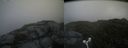 ./images/calvert/buxton2/20160715/buxton220160715_102429M.jpg
