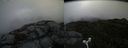 ./images/calvert/buxton2/20160715/buxton220160715_105431M.jpg