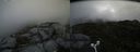 ./images/calvert/buxton2/20160715/buxton220160715_110947M.jpg