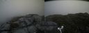 ./images/calvert/buxton2/20160715/buxton220160715_111928M.jpg