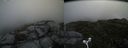 ./images/calvert/buxton2/20160715/buxton220160715_113005M.jpg