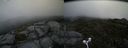./images/calvert/buxton2/20160715/buxton220160715_114946M.jpg