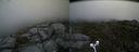 ./images/calvert/buxton2/20160715/buxton220160715_120421M.jpg