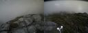 ./images/calvert/buxton2/20160715/buxton220160715_164003M.jpg