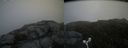 ./images/calvert/buxton2/20160716/buxton220160716_114433M.jpg