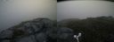 ./images/calvert/buxton2/20160717/buxton220160717_072906M.jpg
