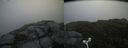./images/calvert/buxton2/20160717/buxton220160717_075424M.jpg