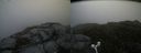./images/calvert/buxton2/20160717/buxton220160717_080426M.jpg