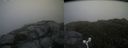 ./images/calvert/buxton2/20160717/buxton220160717_082913M.jpg