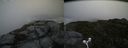 ./images/calvert/buxton2/20160717/buxton220160717_092922M.jpg