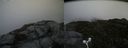 ./images/calvert/buxton2/20160717/buxton220160717_093905M.jpg