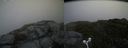 ./images/calvert/buxton2/20160717/buxton220160717_094520M.jpg