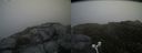 ./images/calvert/buxton2/20160717/buxton220160717_123413M.jpg