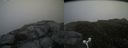 ./images/calvert/buxton2/20160717/buxton220160717_124405M.jpg