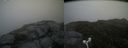 ./images/calvert/buxton2/20160717/buxton220160717_130426M.jpg