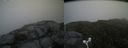 ./images/calvert/buxton2/20160717/buxton220160717_132424M.jpg