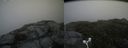 ./images/calvert/buxton2/20160717/buxton220160717_134408M.jpg