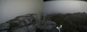 ./images/calvert/buxton2/20160717/buxton220160717_140422M.jpg
