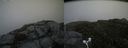 ./images/calvert/buxton2/20160717/buxton220160717_141427M.jpg