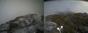 ./images/calvert/buxton2/20160717/buxton220160717_143405M.jpg